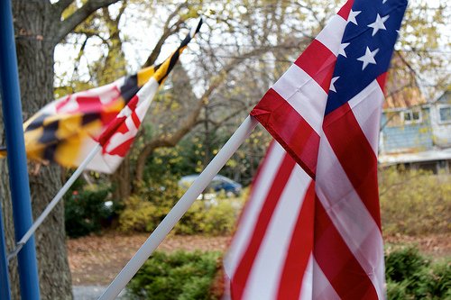 photo of flags